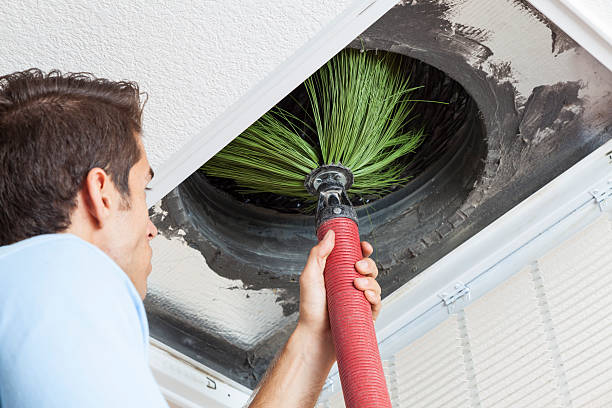 Best Duct Cleaning Specialists  in Minneola, FL